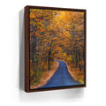 Featured image 10 for Amber Trail
