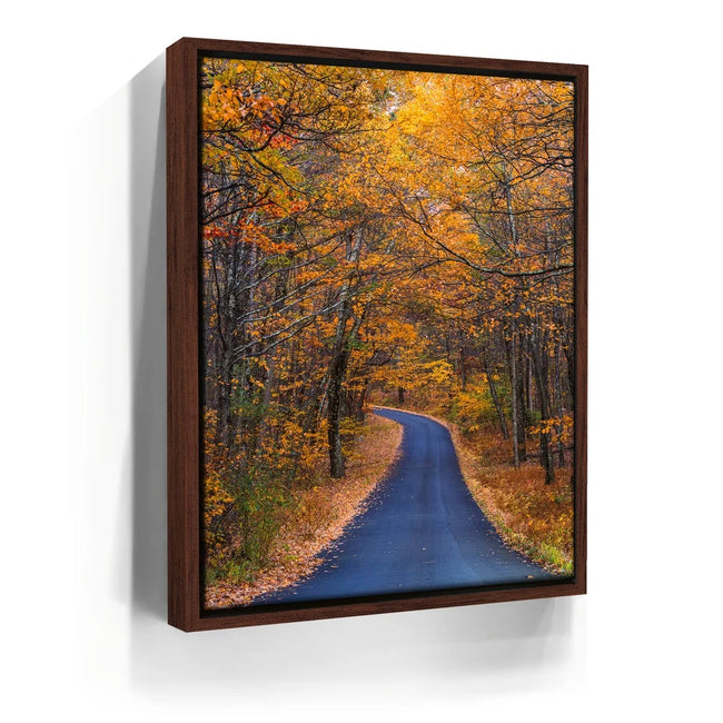 Featured image 10 for Amber Trail