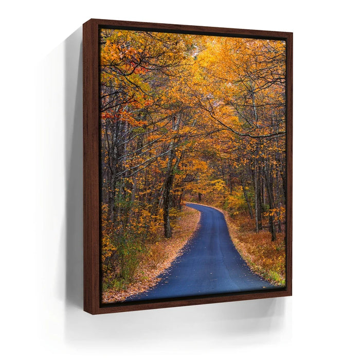 Featured image 10 for Amber Trail