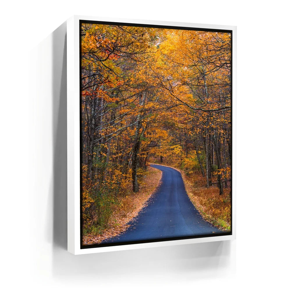 Featured image 6 for Amber Trail