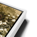 Thumbnail image 14 for Among White Roses