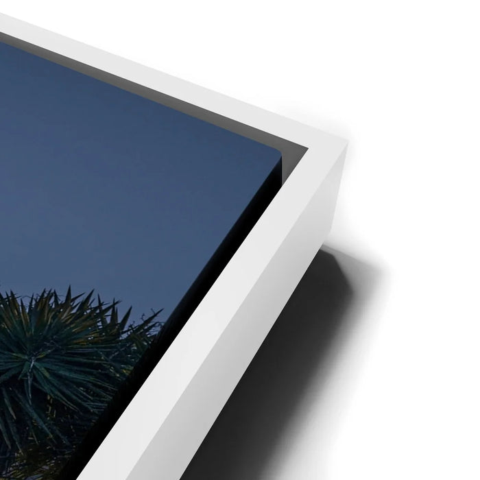 Featured image 14 for An Evening in Downtown San Francisco