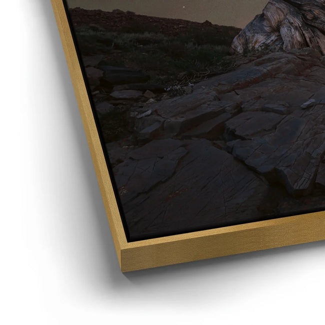 Featured image 12 for Ancient Bristlecone Pine Forest, California