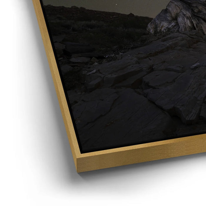 Featured image 13 for Ancient - Ancient Bristlecone Pine Forest, California