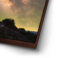 Thumbnail image 14 for Ancient Bristlecone Pine Forest, California