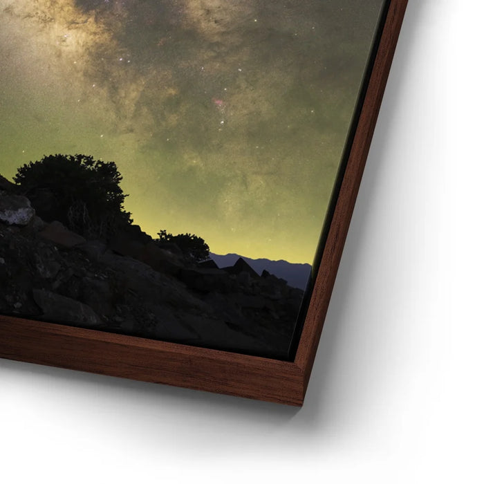 Featured image 15 for Ancient - Ancient Bristlecone Pine Forest, California