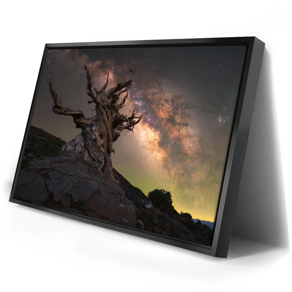 Featured image 2 for Ancient Bristlecone Pine Forest, California