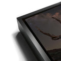 Thumbnail image 11 for Ancient Bristlecone Pine Forest, California