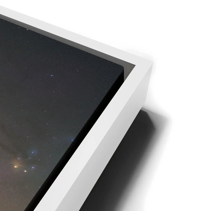 Featured image 13 for Ancient - Ancient Bristlecone Pine Forest, California