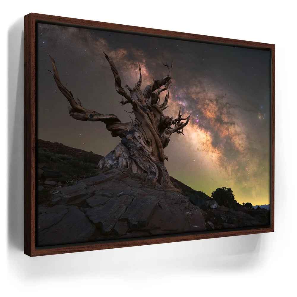 Featured image 10 for Ancient Bristlecone Pine Forest, California