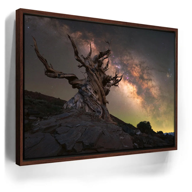 Featured image 10 for Ancient Bristlecone Pine Forest, California