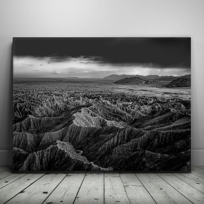 Featured image 1 for Anza Borrego BW