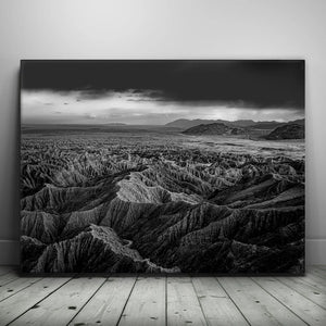 Anza Borrego BW