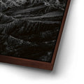 Thumbnail image 14 for Anza Borrego BW