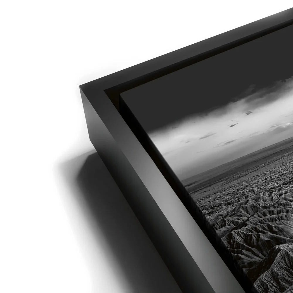 Featured image 11 for Anza Borrego BW