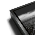 Thumbnail image 11 for Anza Borrego BW