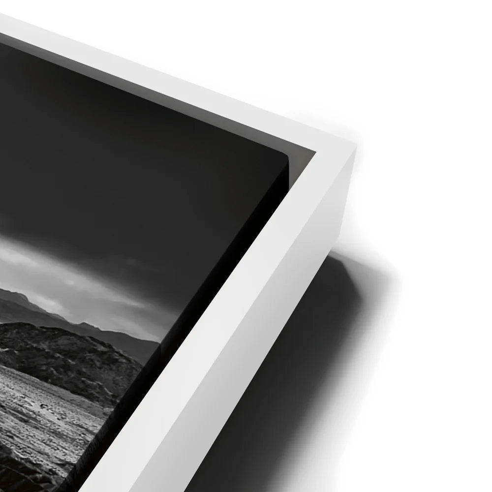 Featured image 13 for Anza Borrego BW