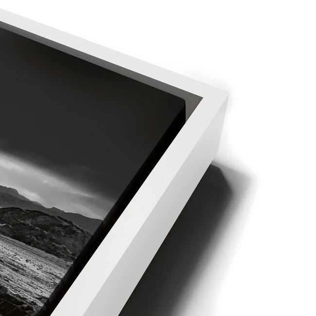 Featured image 13 for Anza Borrego BW