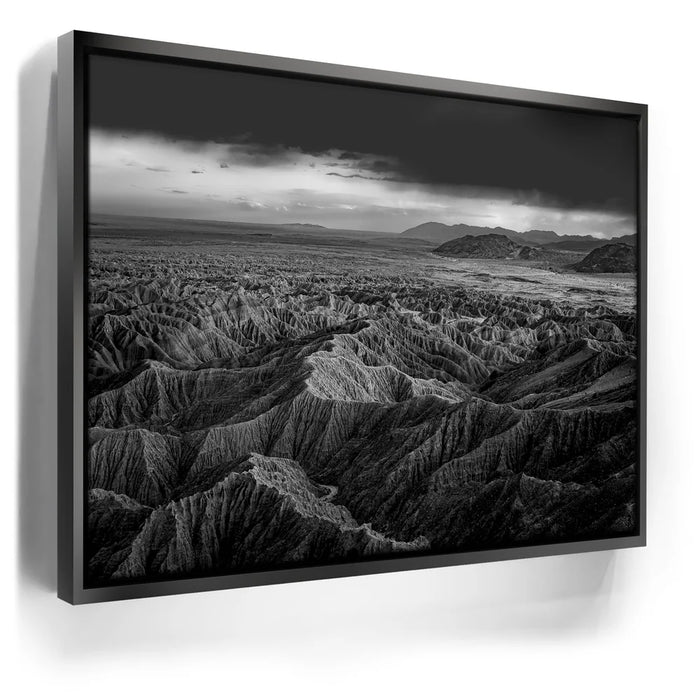 Featured image 6 for Anza Borrego BW