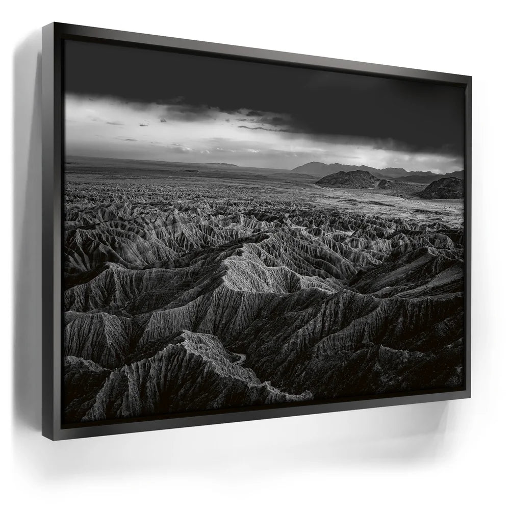 Featured image 5 for Anza Borrego BW