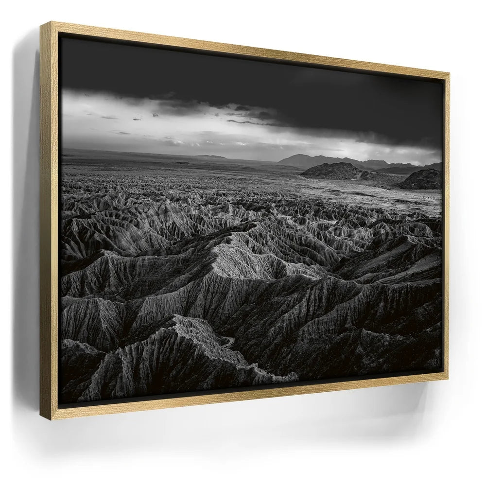 Featured image 7 for Anza Borrego BW
