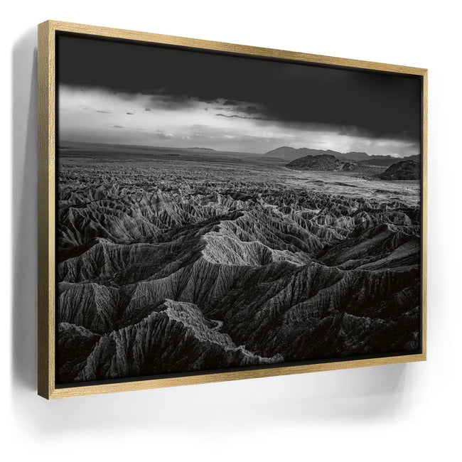 Featured image 7 for Anza Borrego BW
