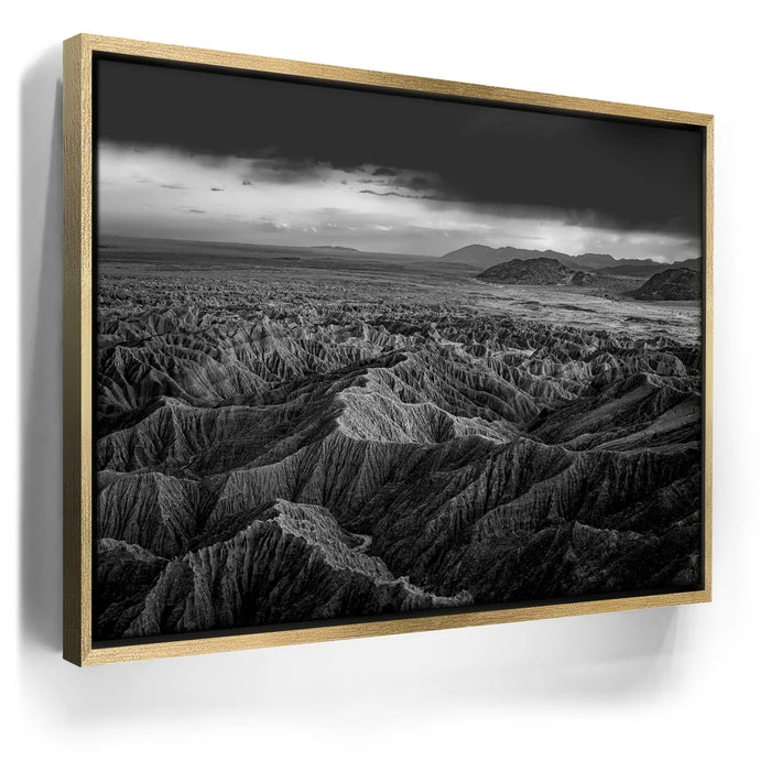 Featured image 8 for Anza Borrego BW