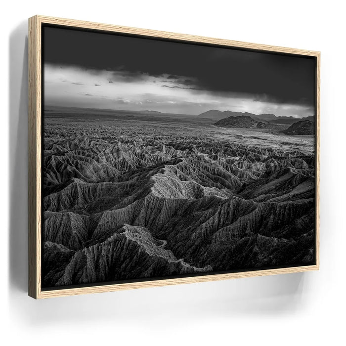 Featured image 10 for Anza Borrego BW