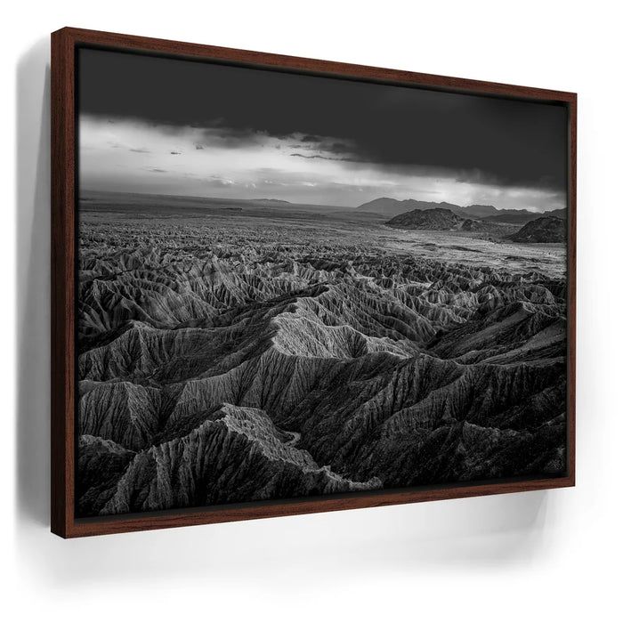 Featured image 11 for Anza Borrego BW