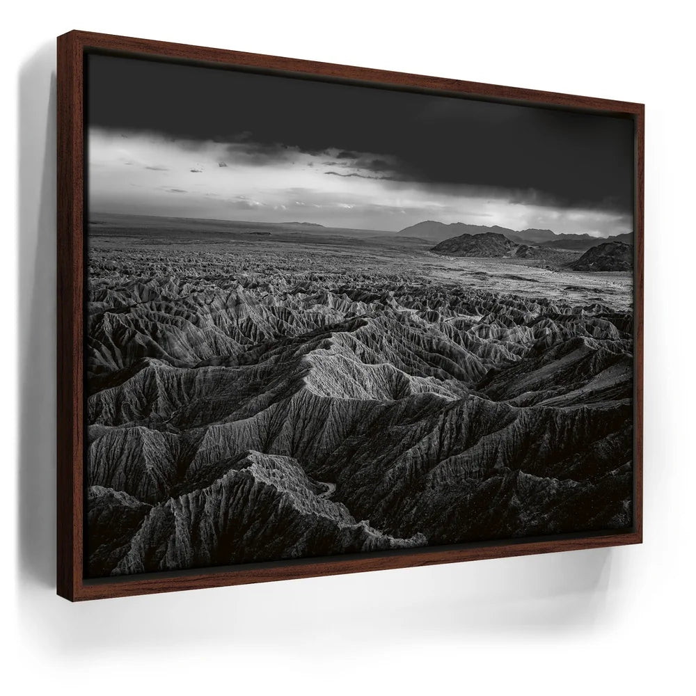 Featured image 10 for Anza Borrego BW