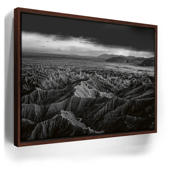 Featured image 10 for Anza Borrego BW