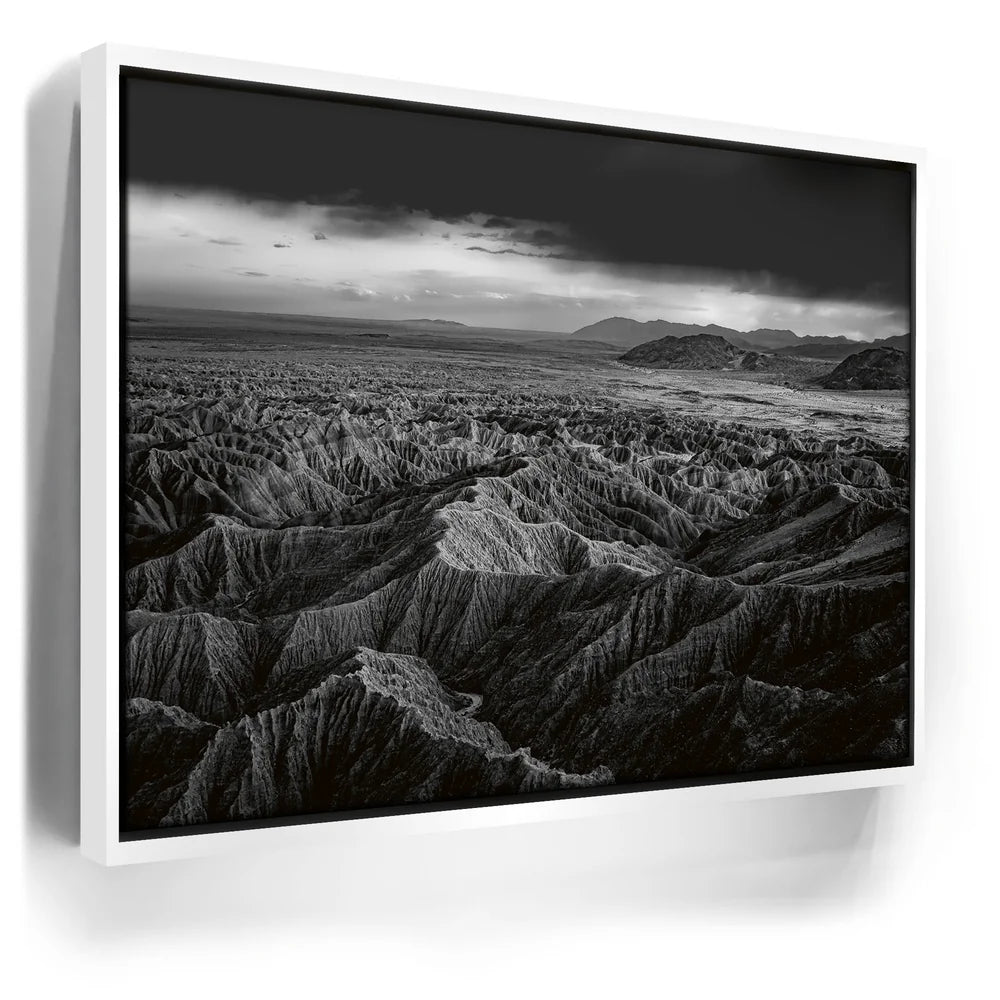 Featured image 6 for Anza Borrego BW