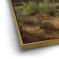 Thumbnail image 12 for Arches National Park Utah