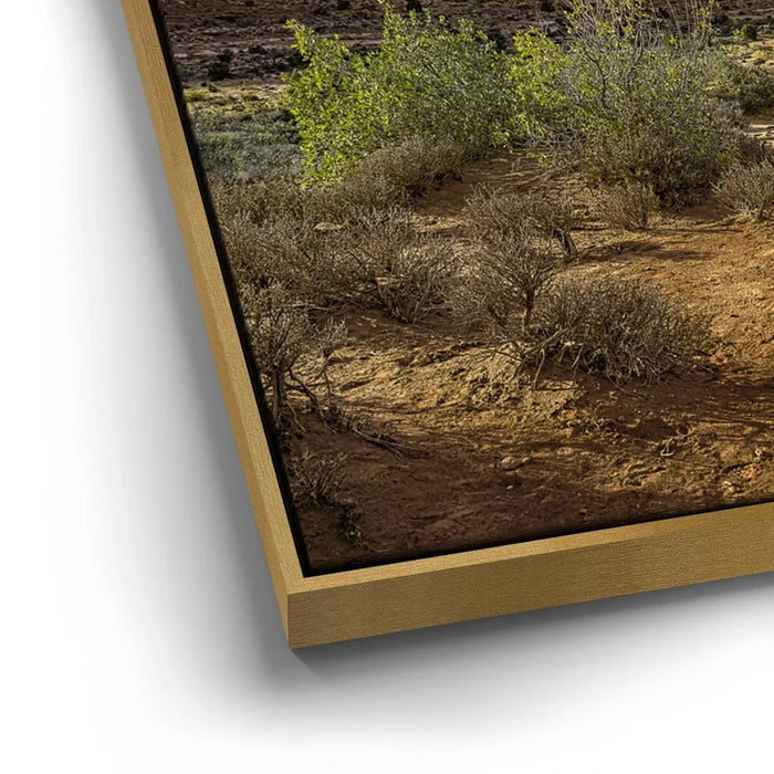 Featured image 12 for Arches National Park Utah