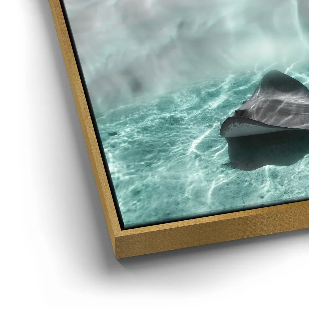 Featured image 12 for Art Ray - Tahiti