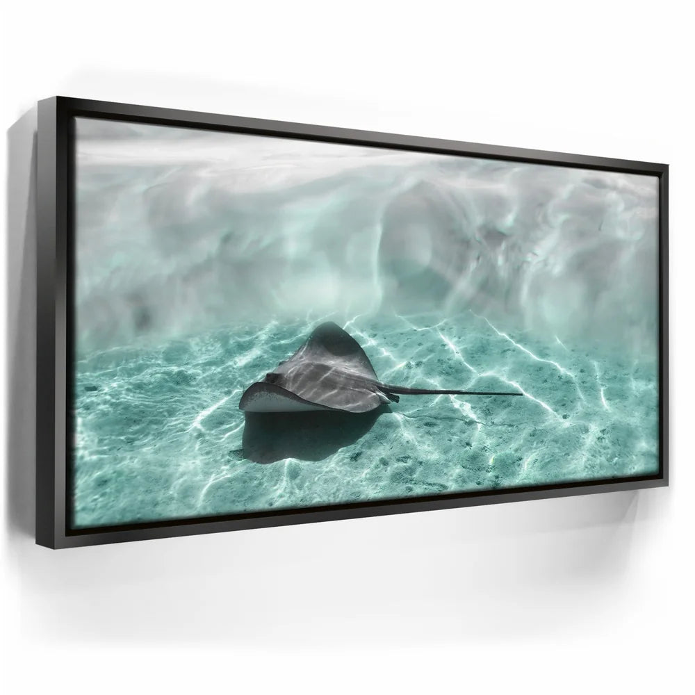 Featured image 5 for Art Ray - Tahiti