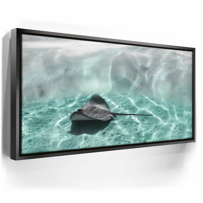 Featured image 5 for Art Ray - Tahiti