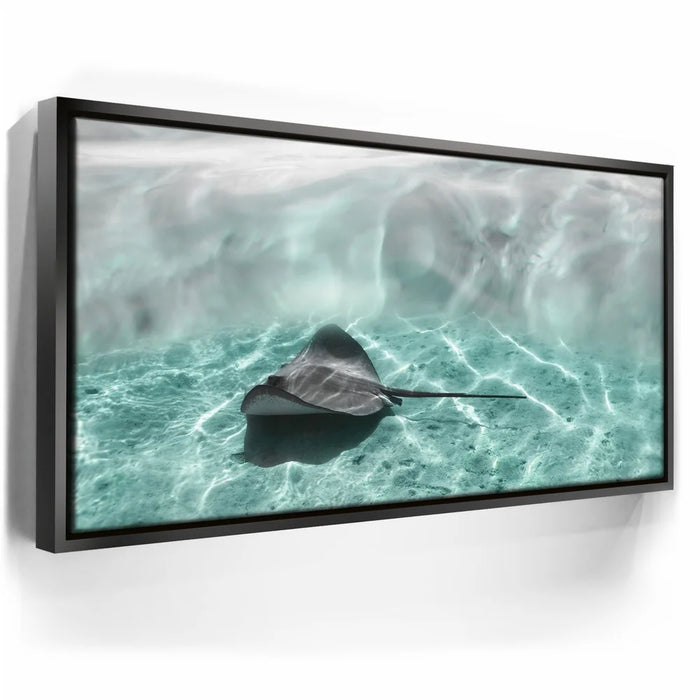 Featured image 5 for Art Ray - Tahiti