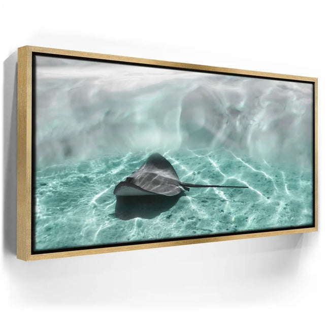 Featured image 7 for Art Ray - Tahiti