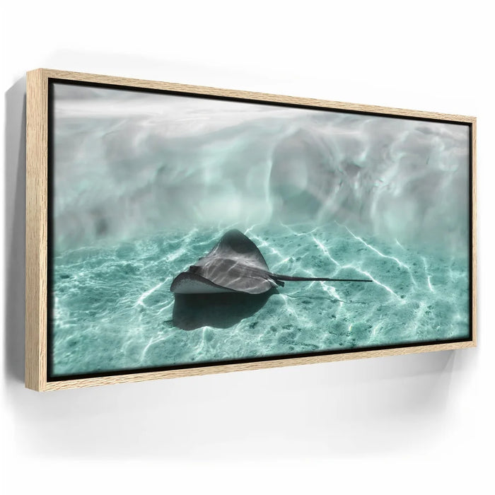 Featured image 9 for Art Ray - Tahiti