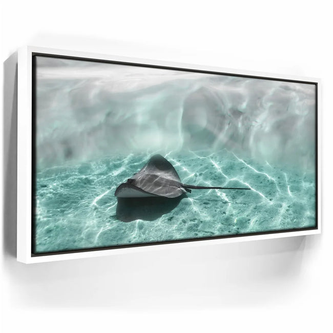 Featured image 6 for Art Ray - Tahiti