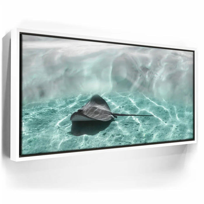 Featured image 6 for Art Ray - Tahiti