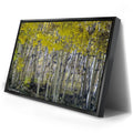Thumbnail image 2 for Aspens Eastern Sierras