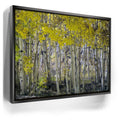 Featured image 5 for Aspens Eastern Sierras