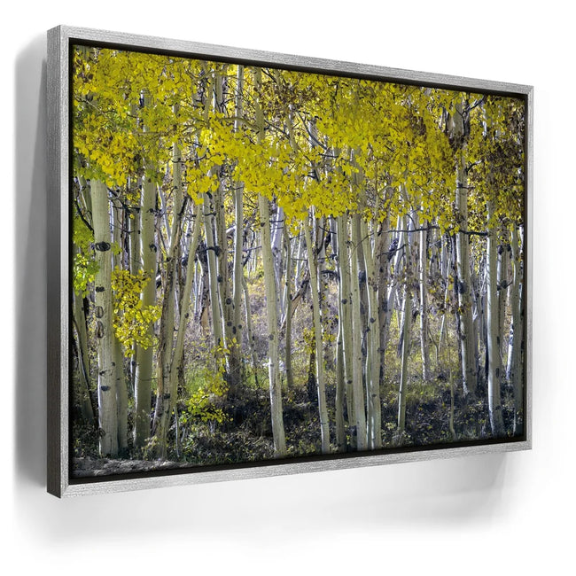 Featured image 8 for Aspens Eastern Sierras