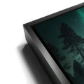 Thumbnail image 11 for Aurora Bear