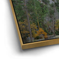 Thumbnail image 12 for Autumn Glow Bridalveil Fall Yosemite