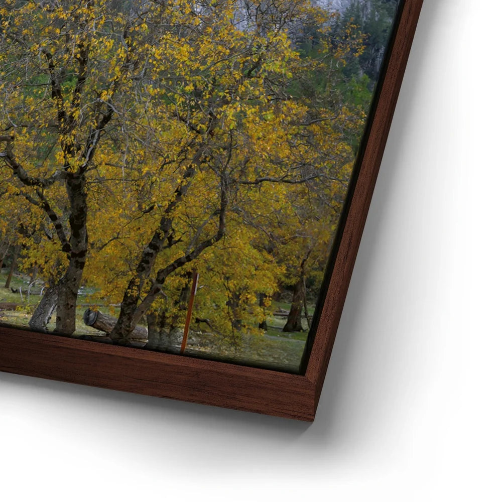 Featured image 14 for Autumn Glow Bridalveil Fall Yosemite