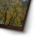 Thumbnail image 14 for Autumn Glow Bridalveil Fall Yosemite