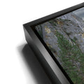 Thumbnail image 11 for Autumn Glow Bridalveil Fall Yosemite